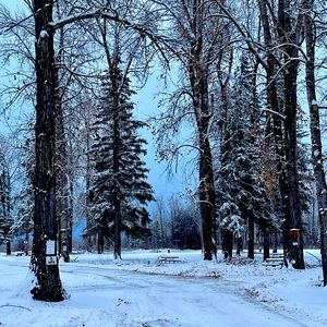 Meet your Posher, Virginia